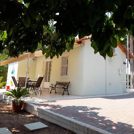 فيلا Eirini House ذريبانو المظهر الخارجي الصورة