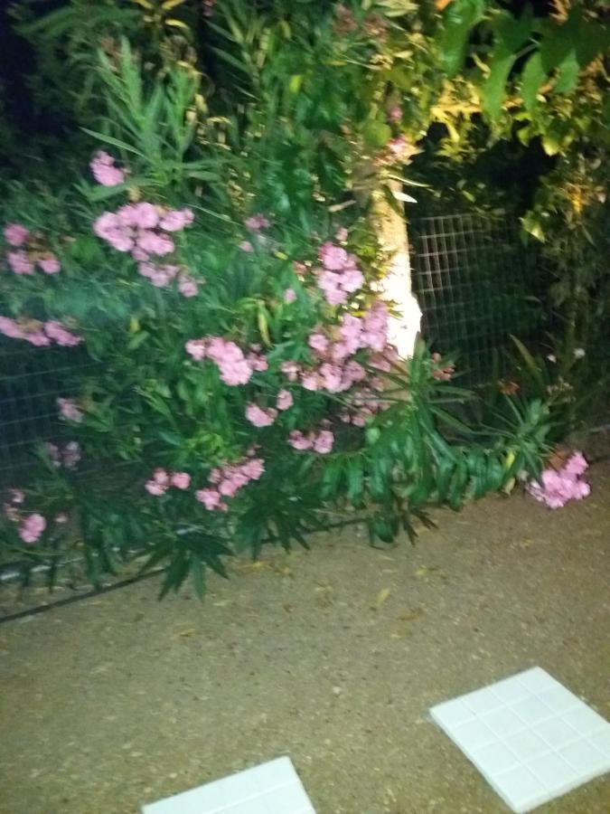 فيلا Eirini House ذريبانو المظهر الخارجي الصورة