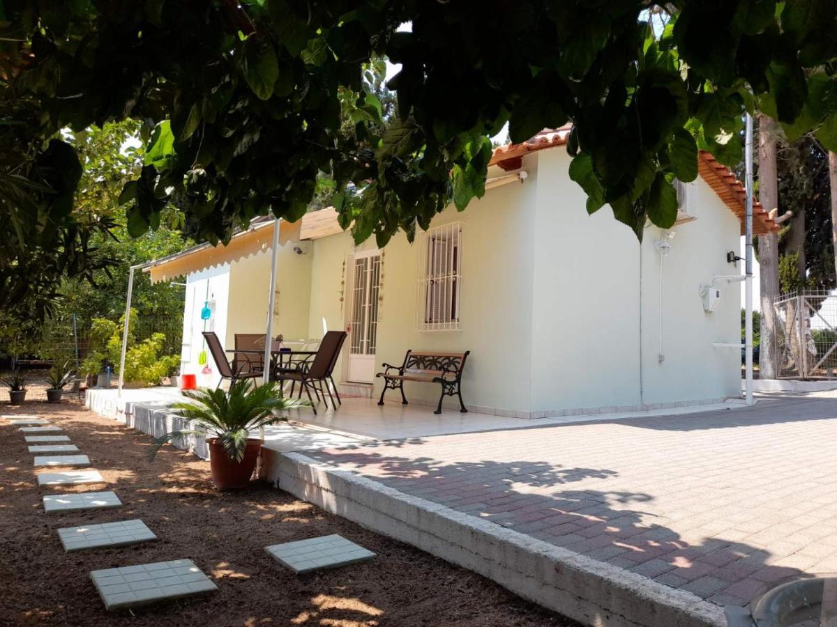 فيلا Eirini House ذريبانو المظهر الخارجي الصورة
