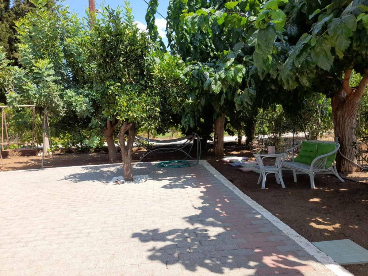 فيلا Eirini House ذريبانو المظهر الخارجي الصورة